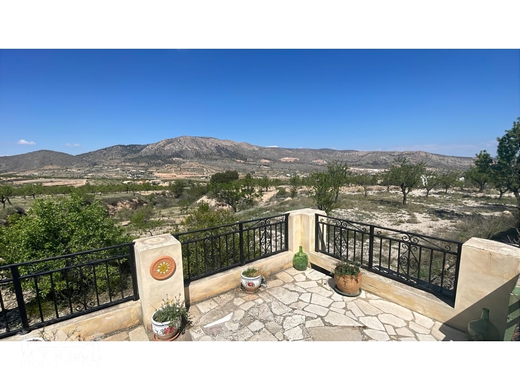 50d2decd-e279-4dcb-84fb-7e087b77021d