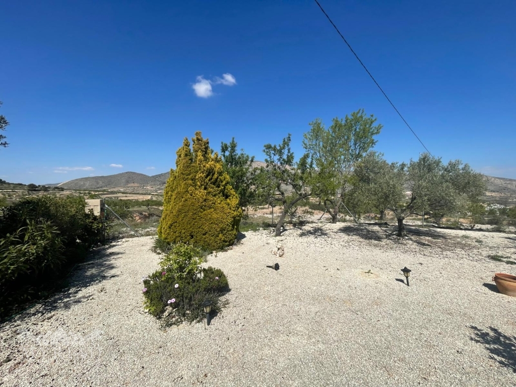 80923c8f-03b2-4cdc-bf87-e9b7eb43eed6