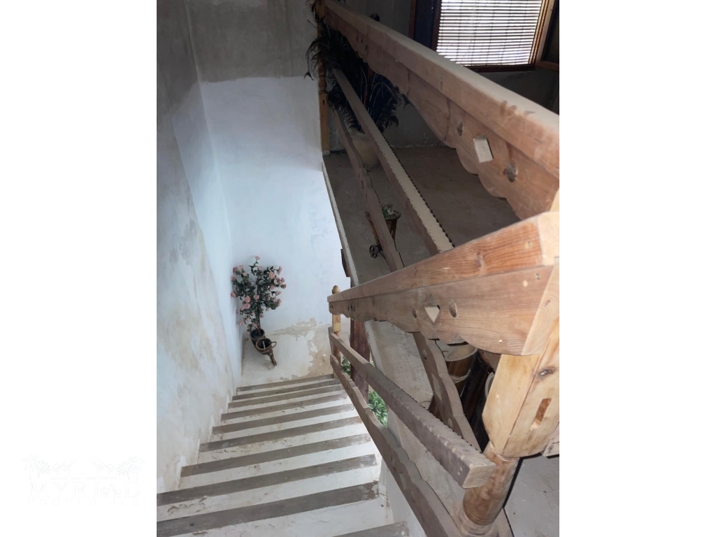 2466ea19-c259-41da-a677-74d69841c016