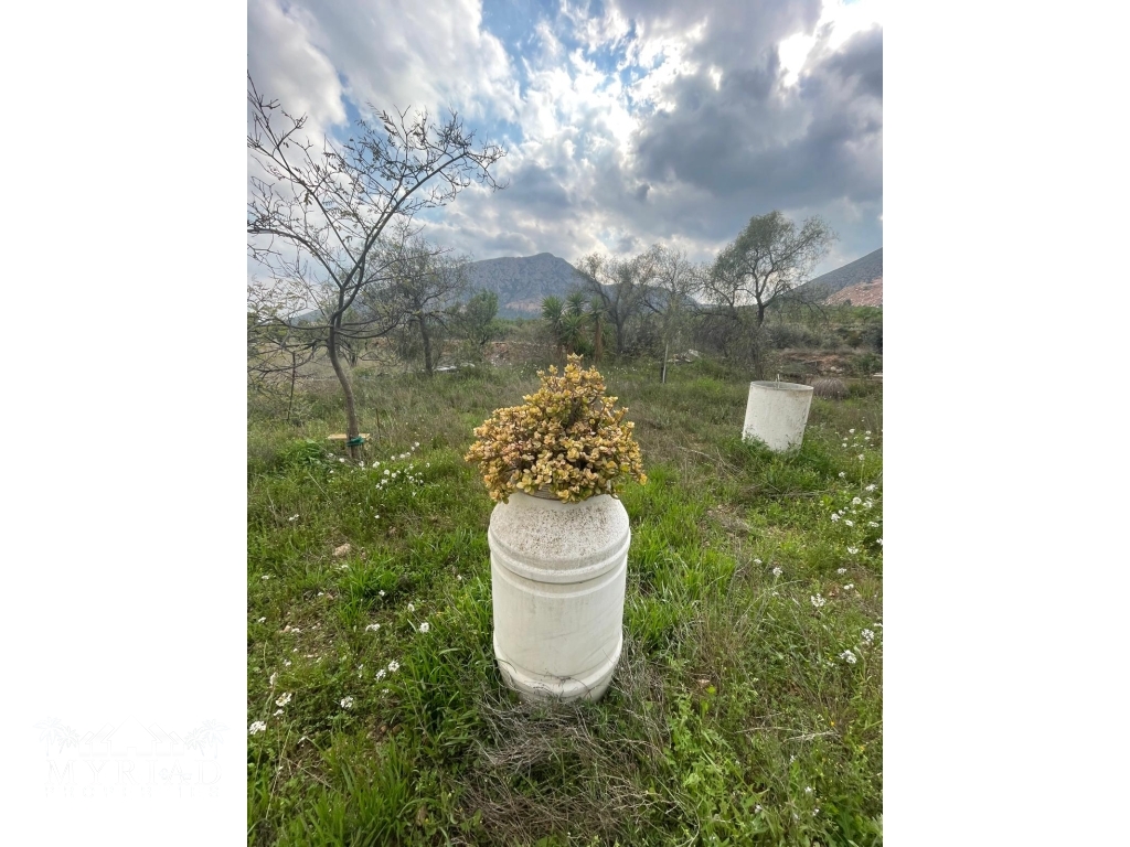 cfc0411b-21b9-4755-93a5-29205f9370e8