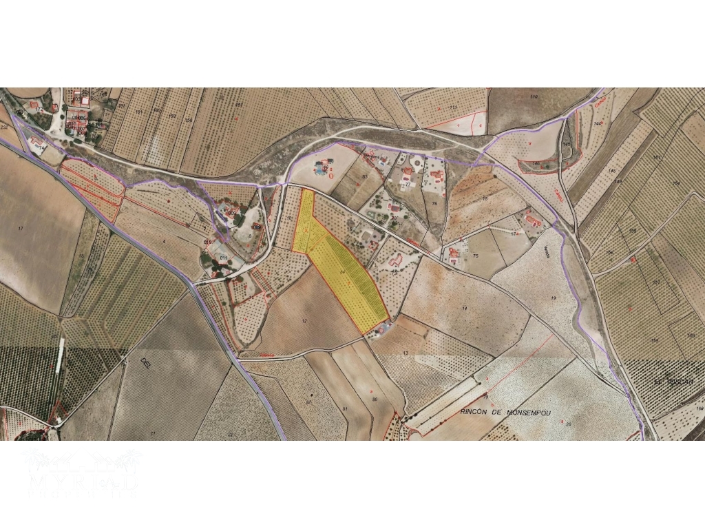 Plot_building in Pinoso (Paredon)