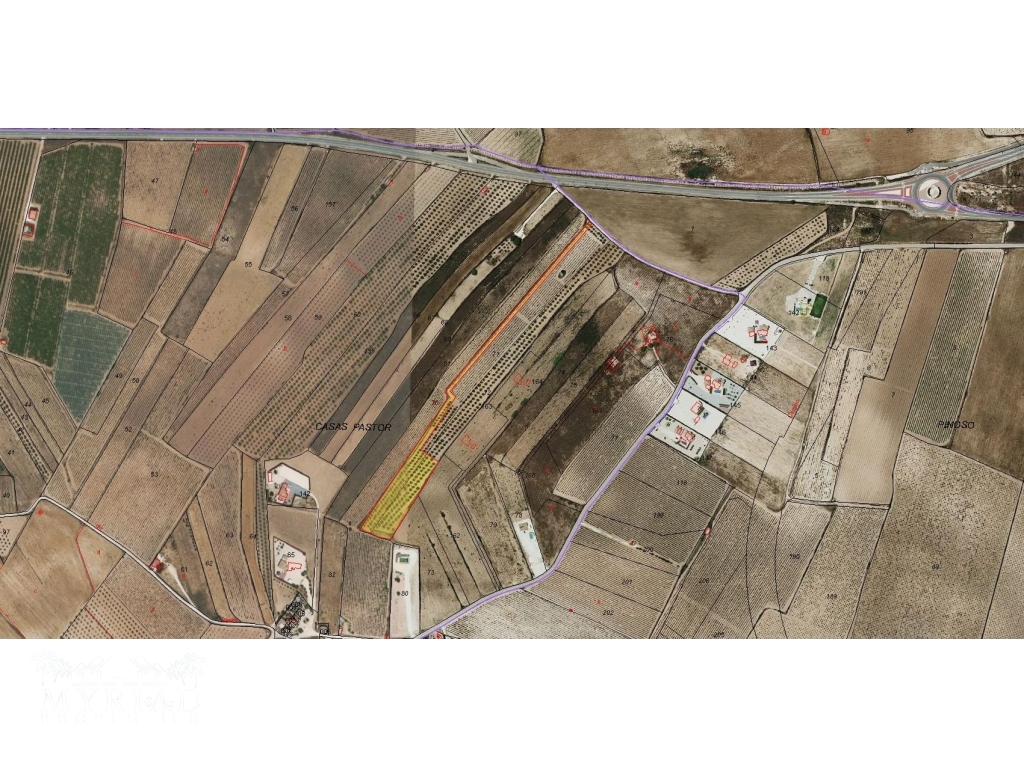 Plot_building in Casas Pastor (Pinoso)