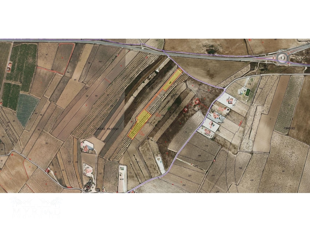Plot_building in Casas Pastor (Pinoso)